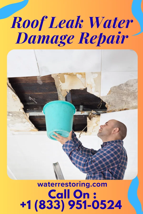 Roof Leak Water Damage Repair in Compton, IL